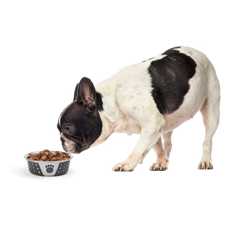 PetRageous 13097 Fiji Stainless Steel Non-Slip Dishwasher-Safe Dog Bowl 1.75-Cup Capacity 5.5-inch Diameter 1.75-inch Tall for Small and Medium Size Dogs and Cats, Light Grey and Black - Image 4